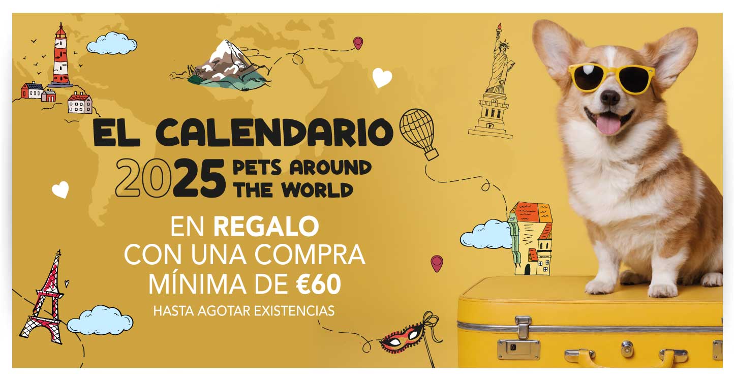 Calendario in omaggio con 60€ di spesa